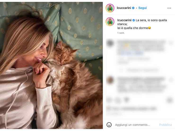 Lorella Cuccarini e il suo gatto (fonte: instagram)